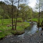 Frühling im Selketal