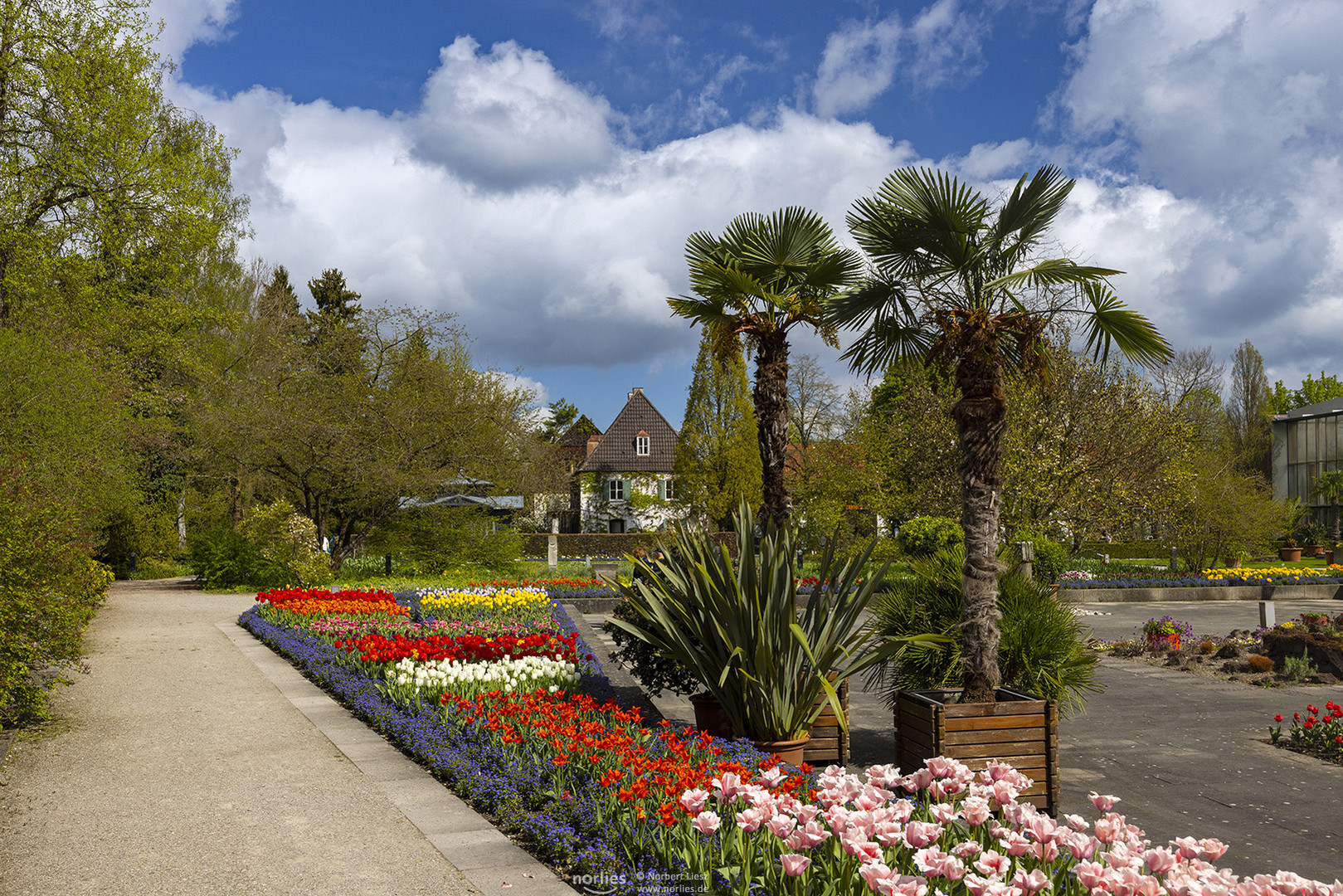 Frühling im Senkgarten