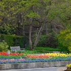 Frühling im Senkgarten