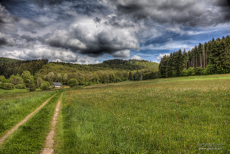 Frühling im Siegerland