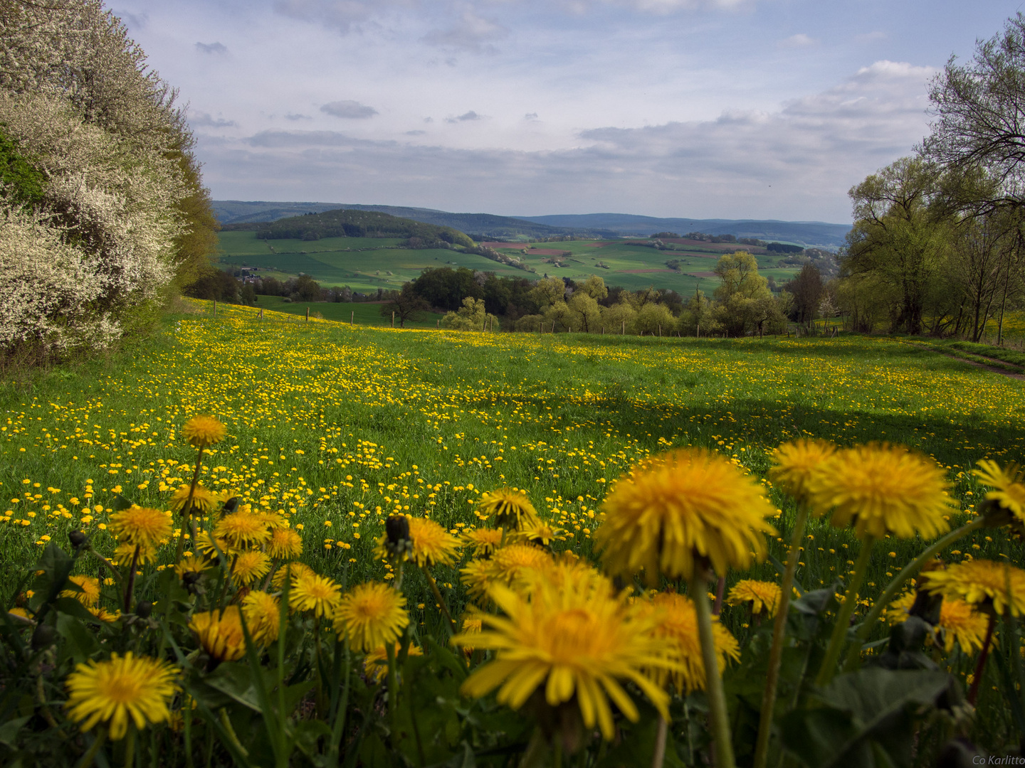 Frühling im Sinntal