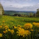 Frühling im Sinntal