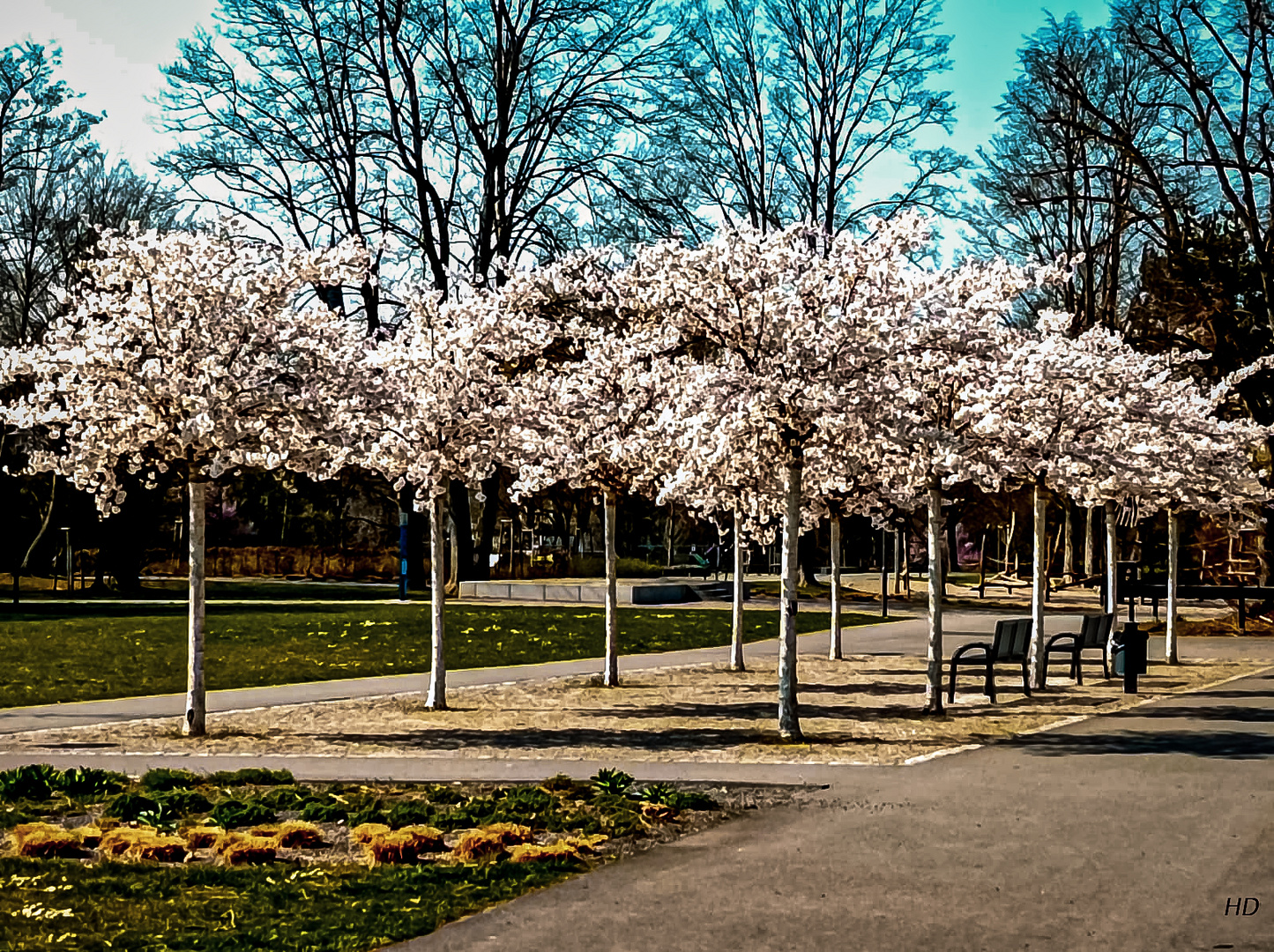 Frühling im Sole-Aktiv-Park