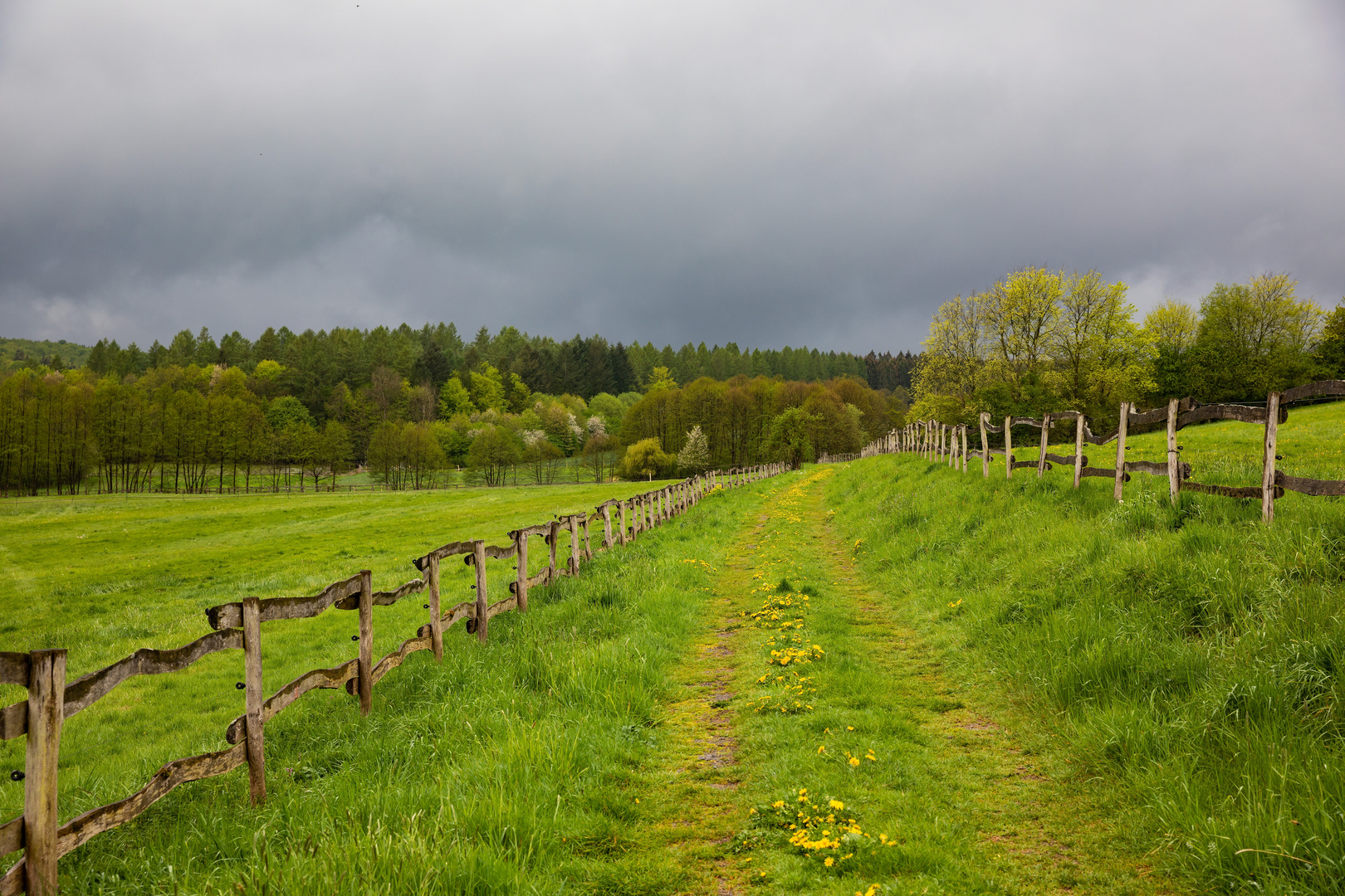 Frühling im Solling