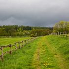 Frühling im Solling