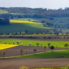 Frühling im Solling