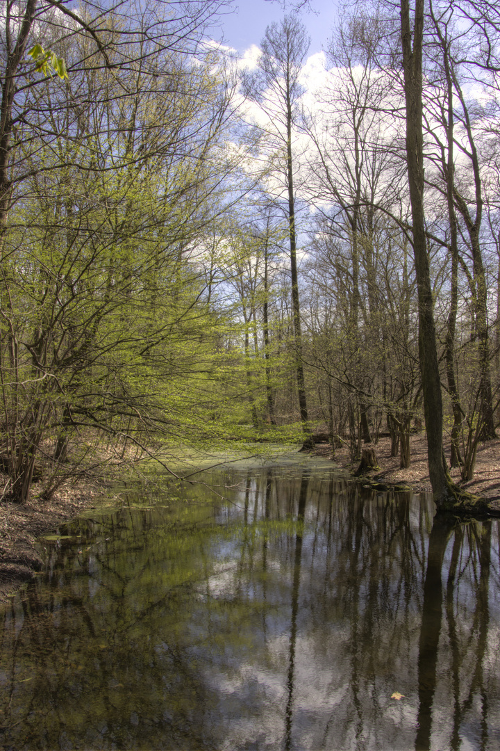 Frühling im Spandauer Forst