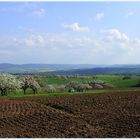 Frühling im Spessart