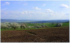 Frühling im Spessart