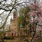 Frühling im Speyerer Domgarten