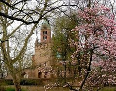 Frühling im Speyerer Domgarten