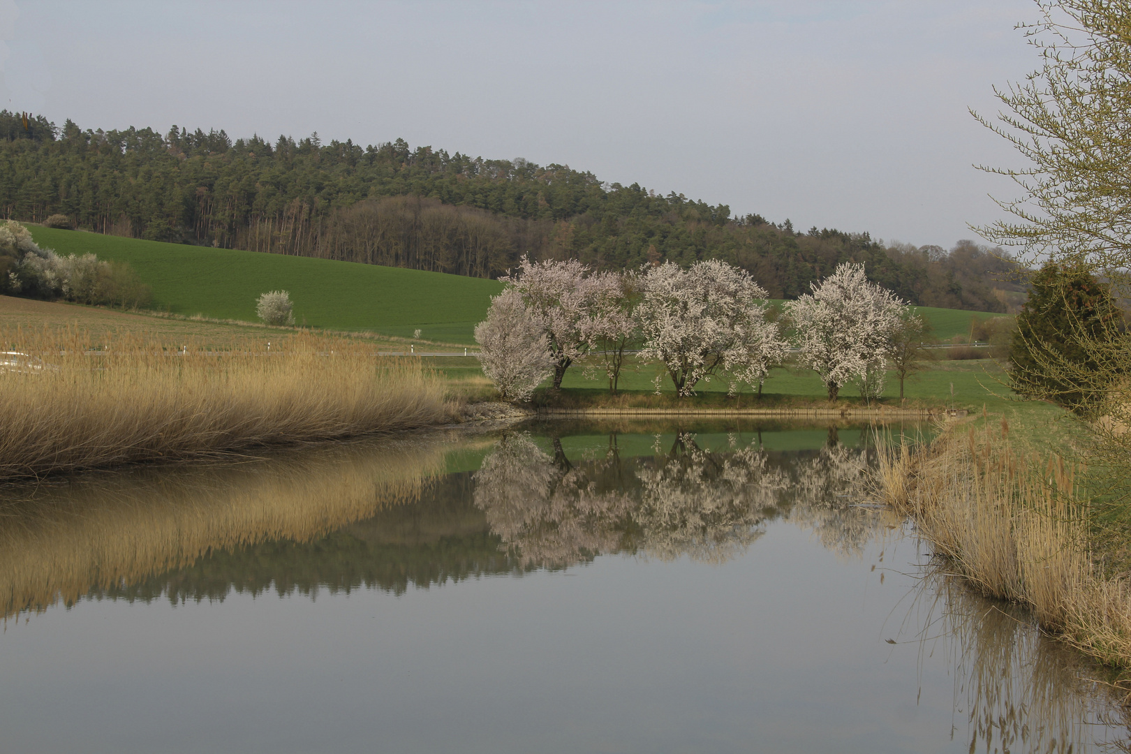 Frühling im Spiegel