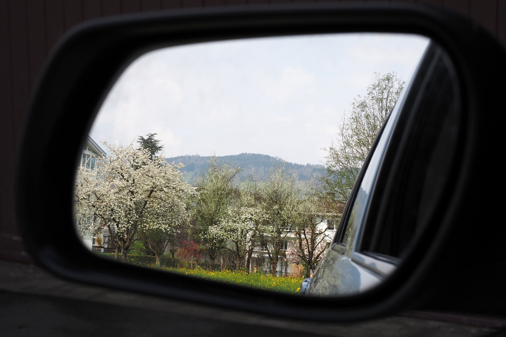 frühling im spiegel