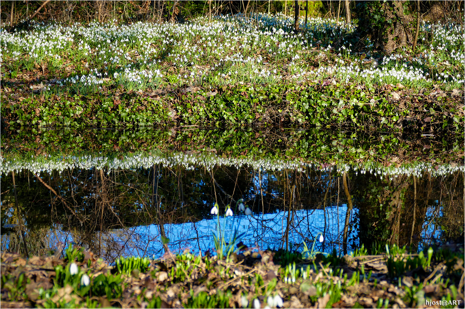 ... Frühling im Spiegelbild ...