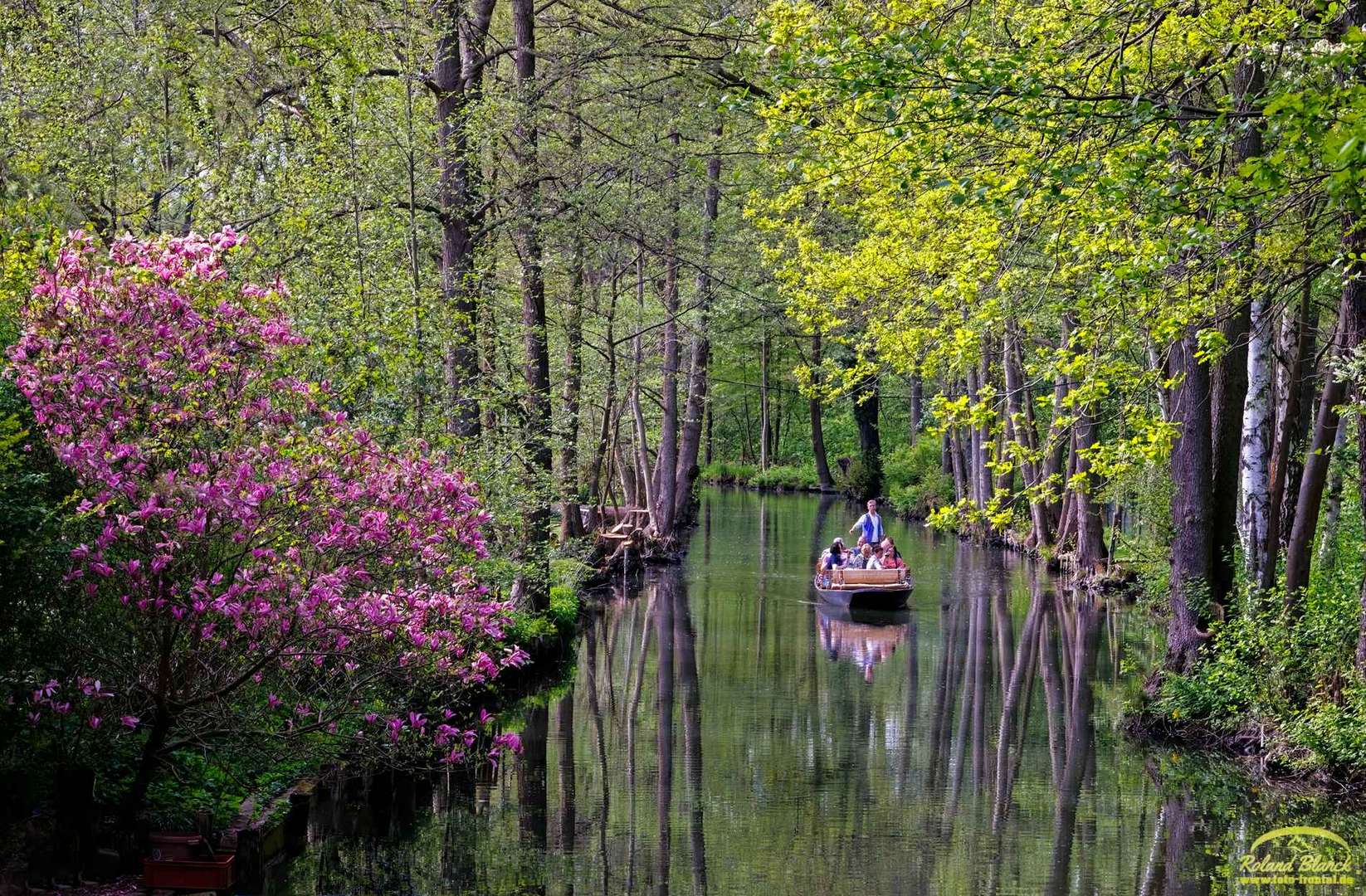 Frühling im Spreewald