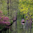 Frühling im Spreewald