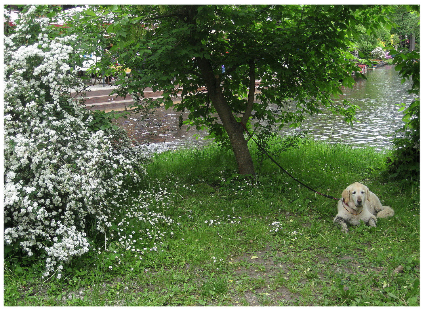 Frühling im Spreewald