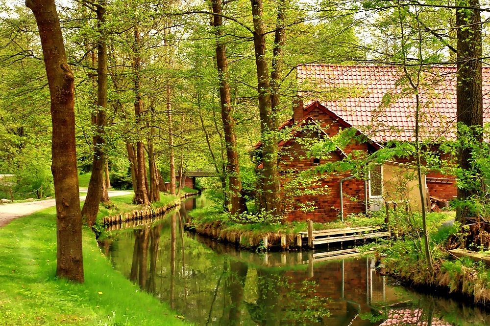 Frühling  im  Spreewald.....