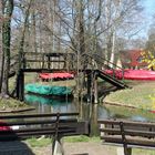 Frühling im Spreewald