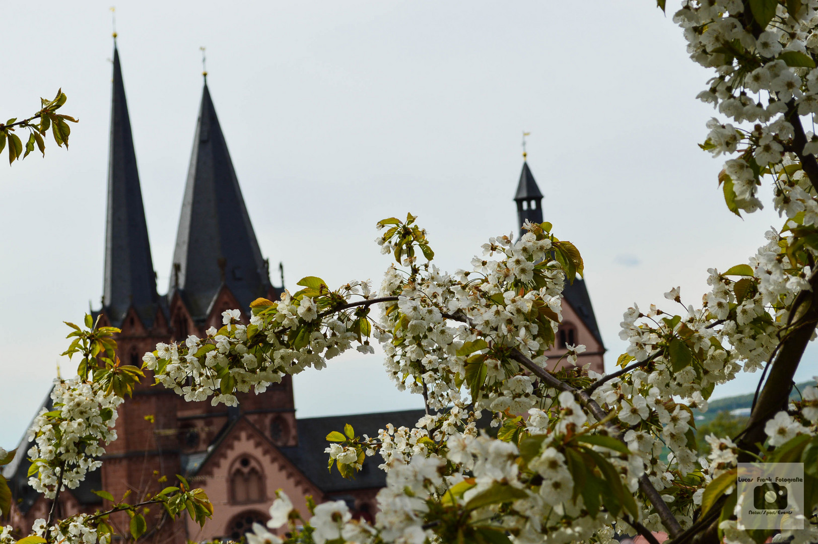 Frühling im Stadtgarten