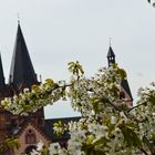 Frühling im Stadtgarten