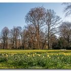 Frühling im Stadtpark