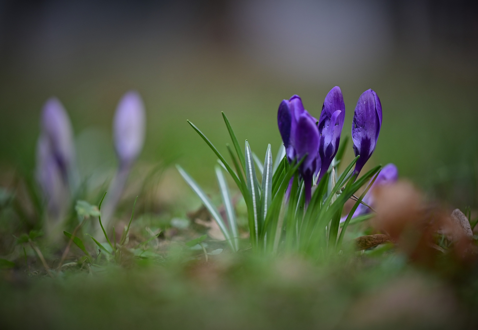 Frühling im Stadtpark