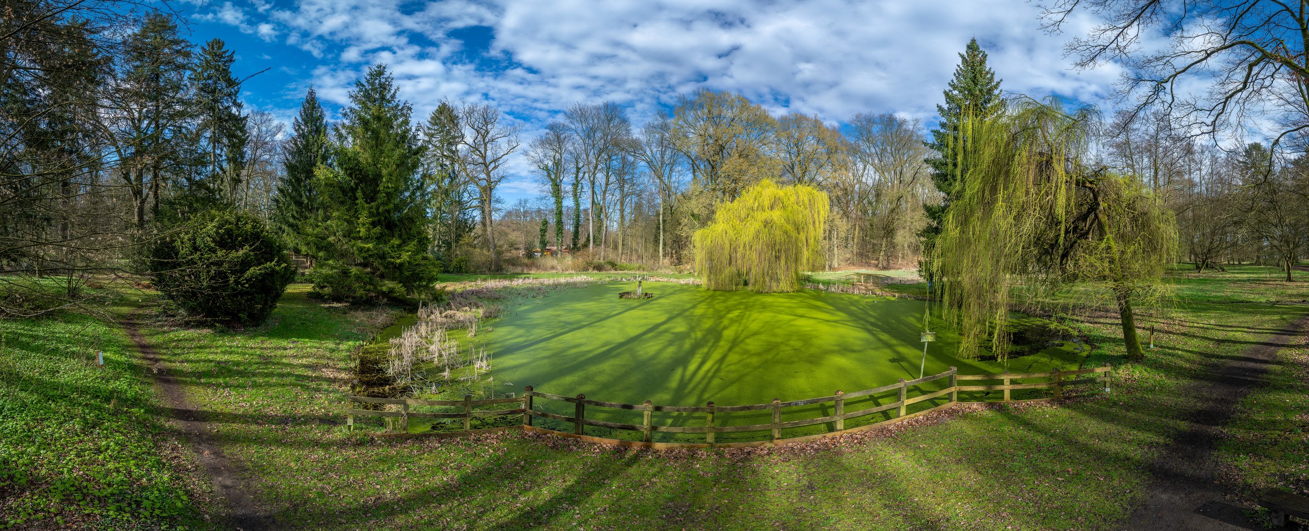 Frühling im Stadtpark