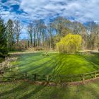 Frühling im Stadtpark