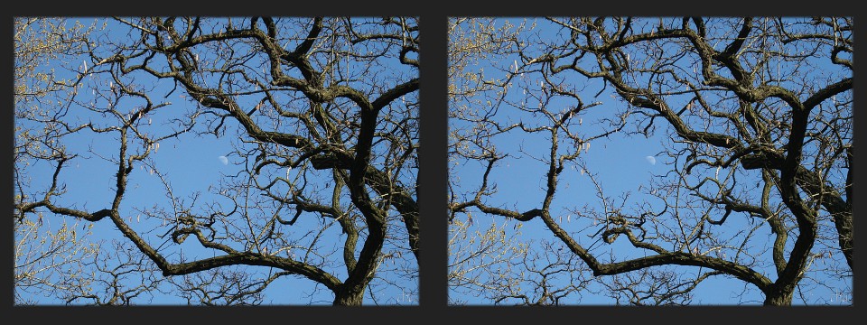 Frühling im Stadtpark