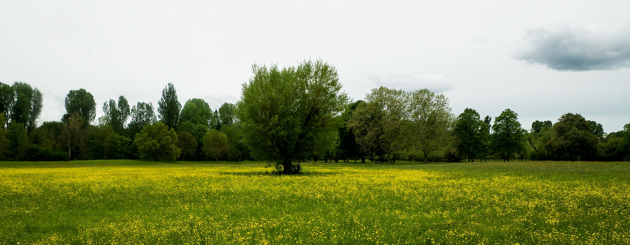 Frühling im Stadtpark 