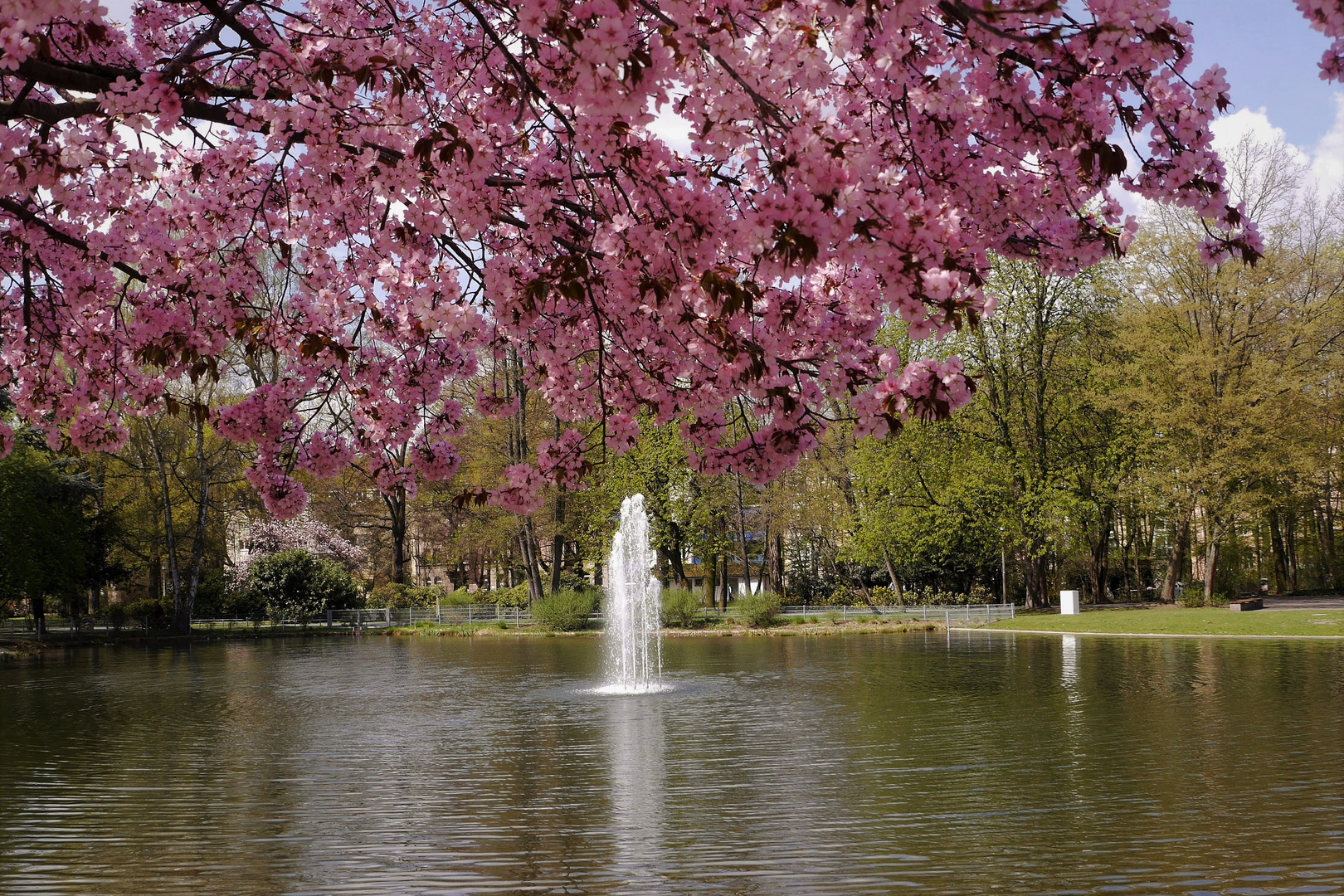 Frühling im Stadtpark