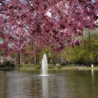 Frühling im Stadtpark