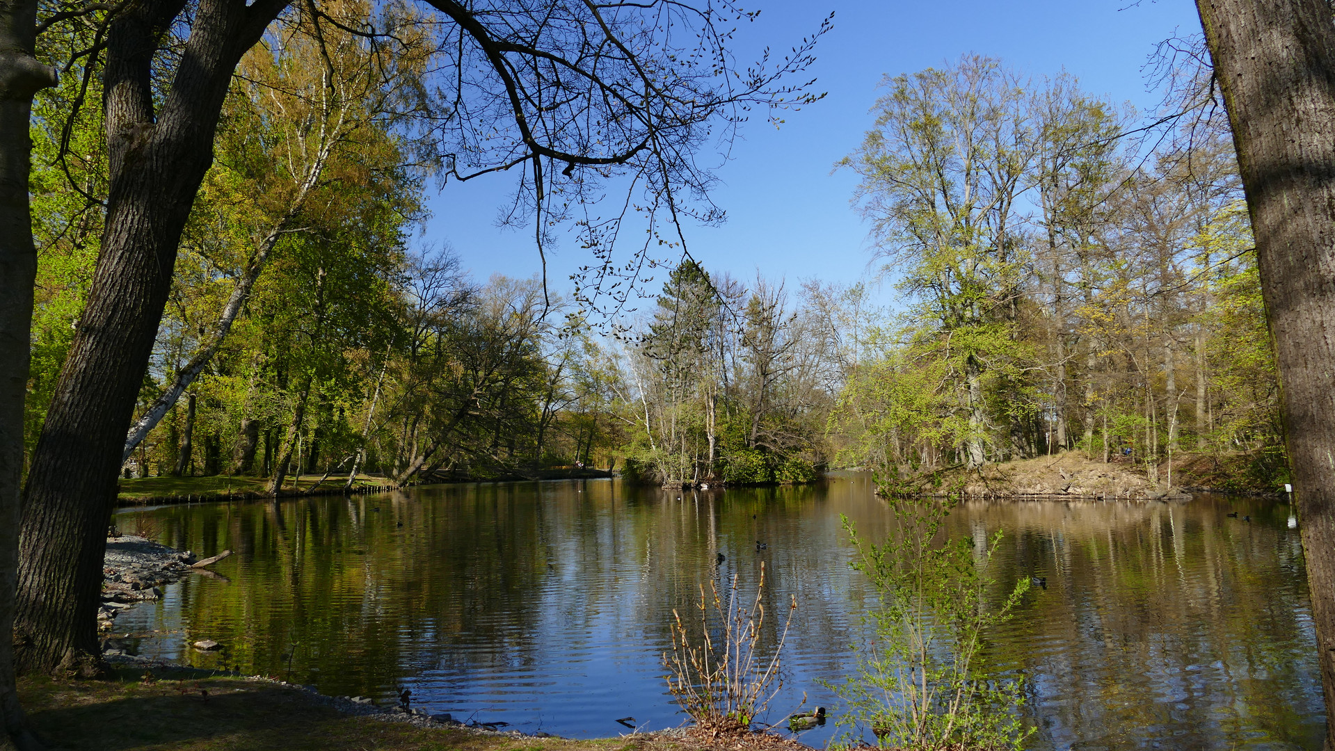 Frühling im Stadtpark von Reichenbach/V.