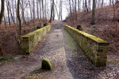 Frühling im Stadtwald