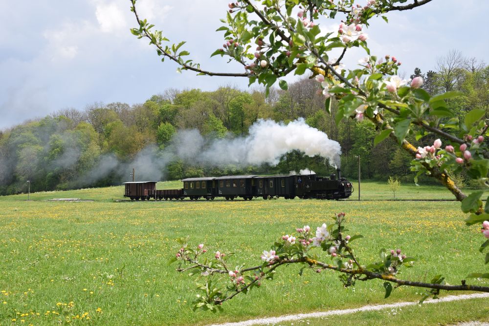 Frühling im Steyrtal  -1