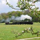 Frühling im Steyrtal  -1