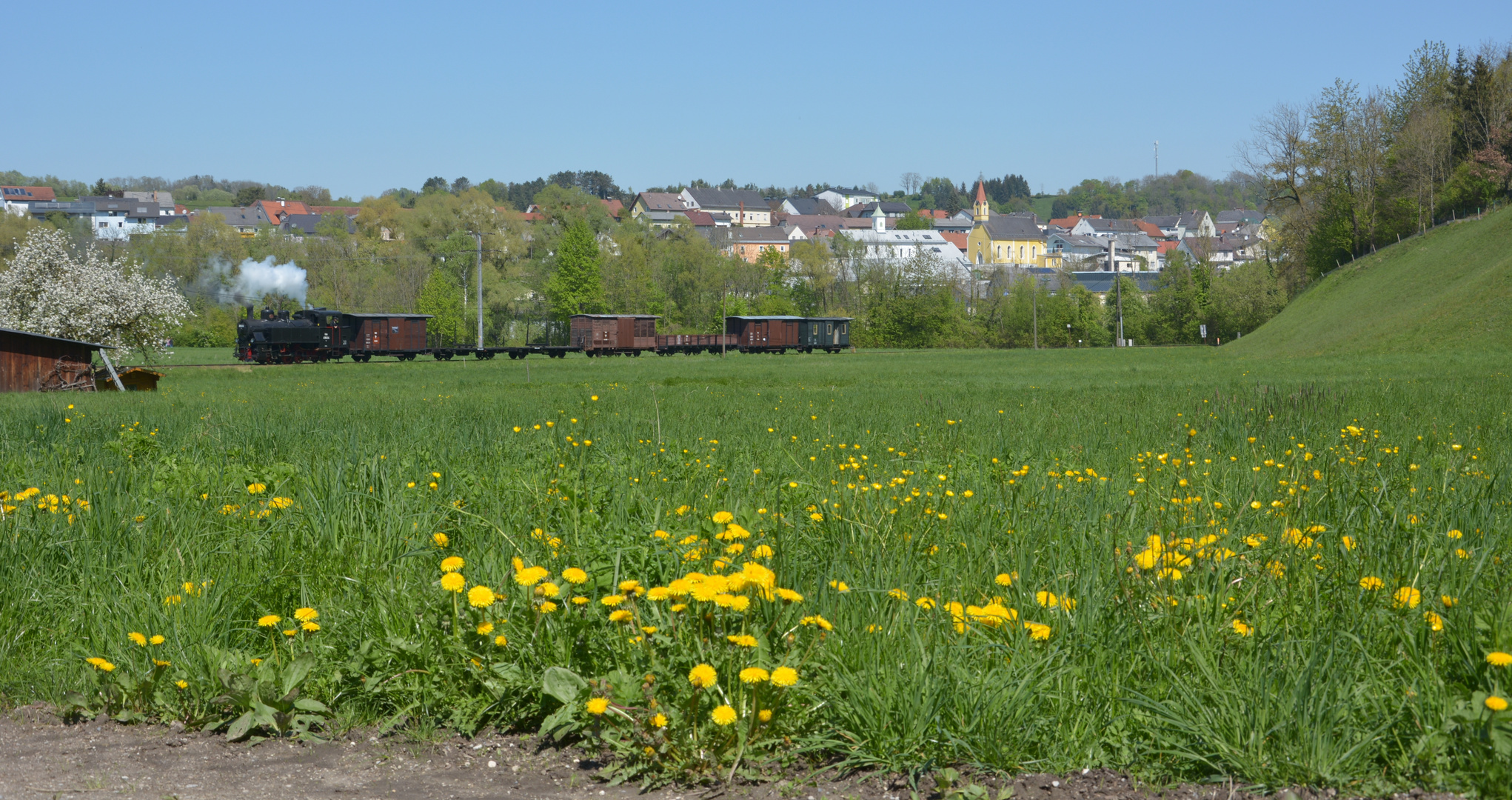 Frühling im Steyrtal  -2