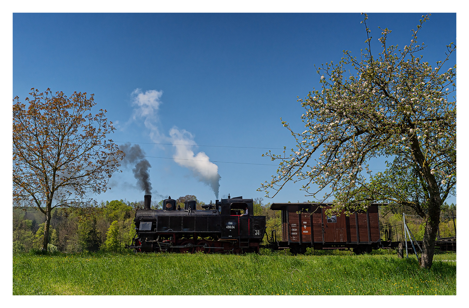 Frühling im Steyrtal