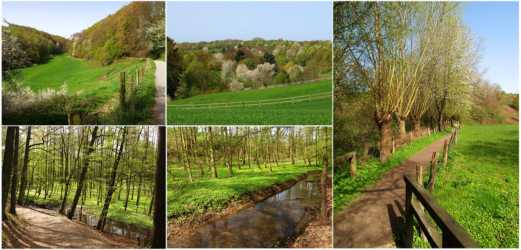 Frühling im Stinderbachtal