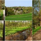 Frühling im Stinderbachtal