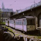 Frühling im Straßenbahnhof  Kappel