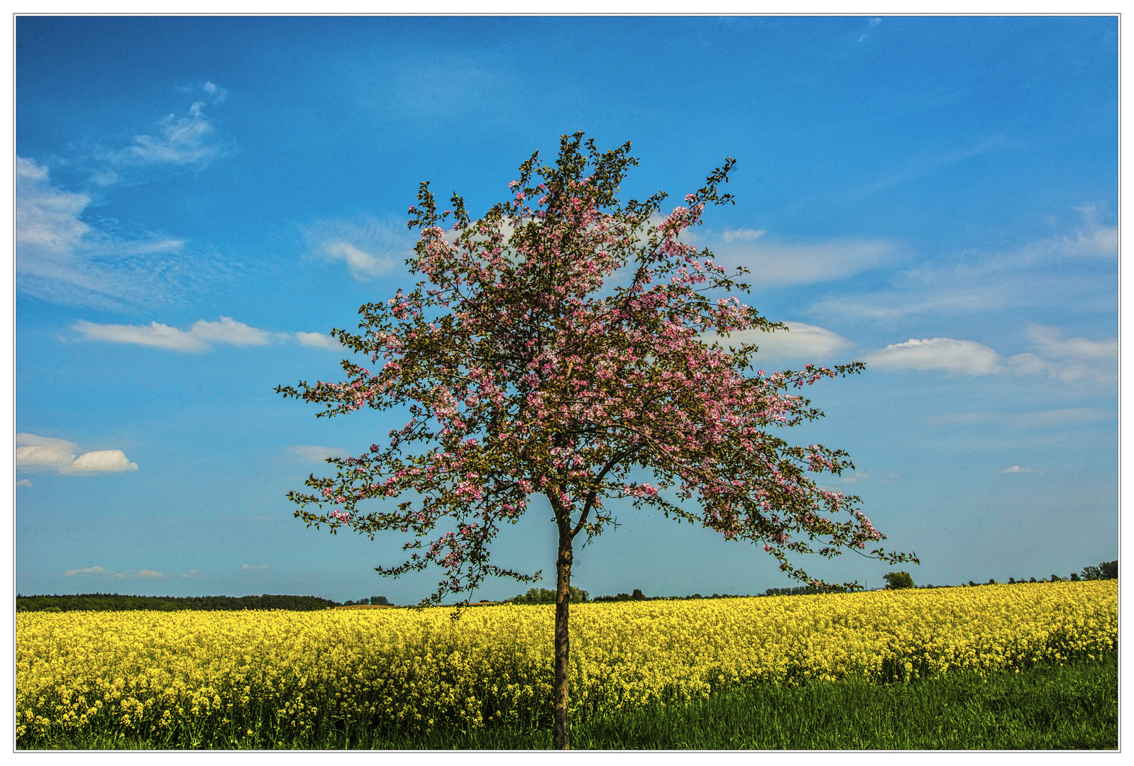 Frühling im Strelitzer Land