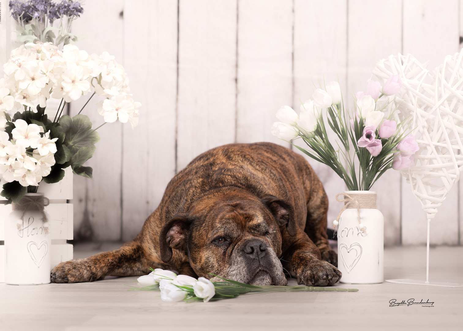 Frühling im Studio