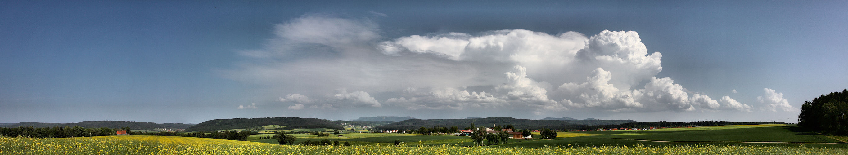 .......... " Frühling im Süd-Westen........"!