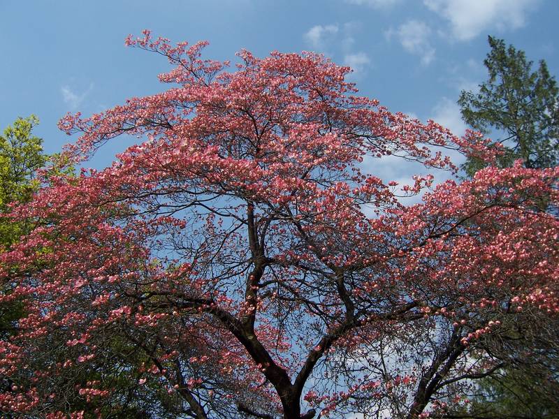 Frühling im Süden