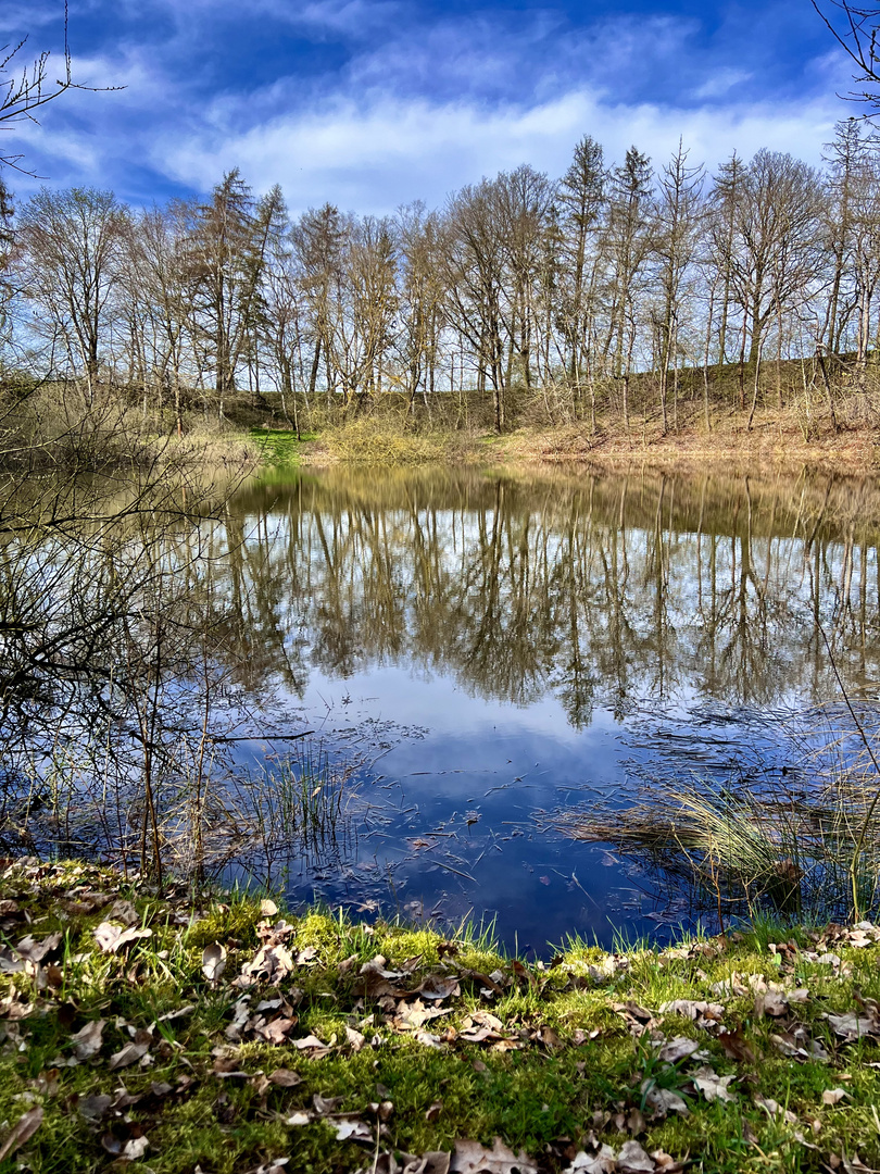 Frühling im Südharz - die ersten Farbtupfer