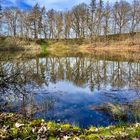 Frühling im Südharz - die ersten Farbtupfer