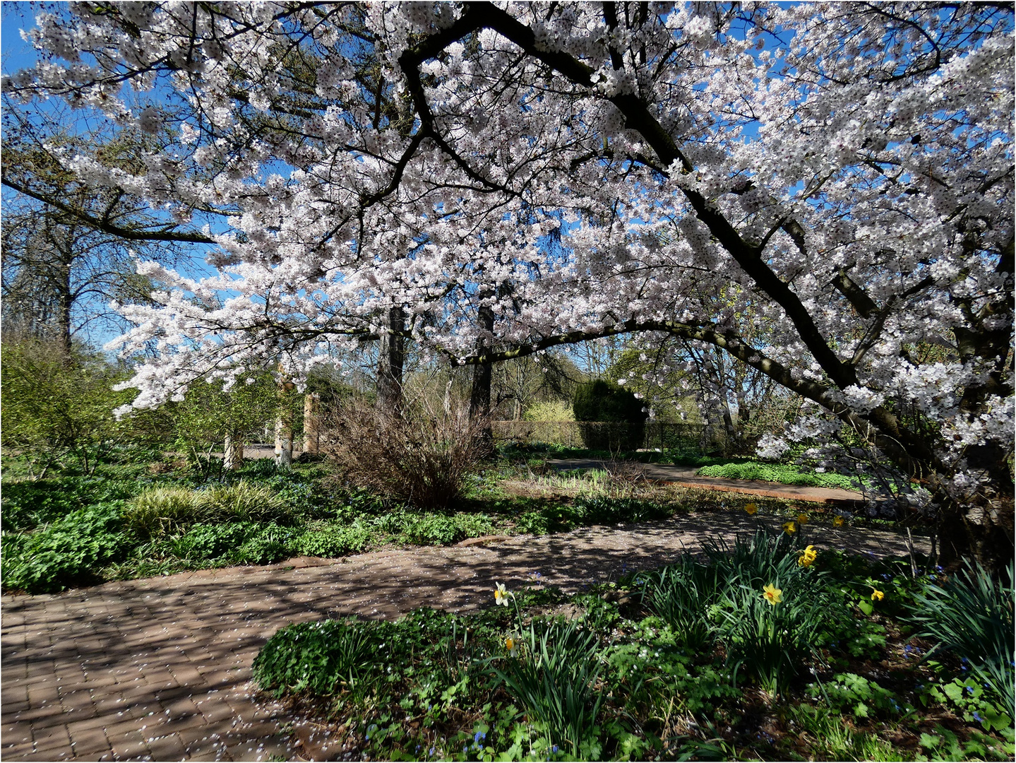 Frühling im Südpark