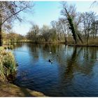 Frühling im Südpark